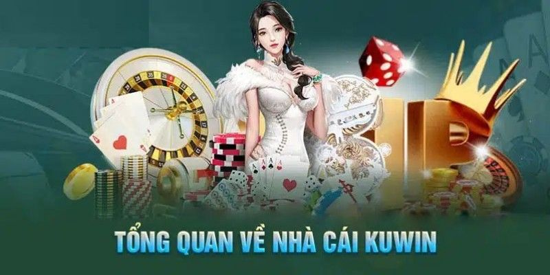 Khái quát thông tin giới thiệu về chúng tôi